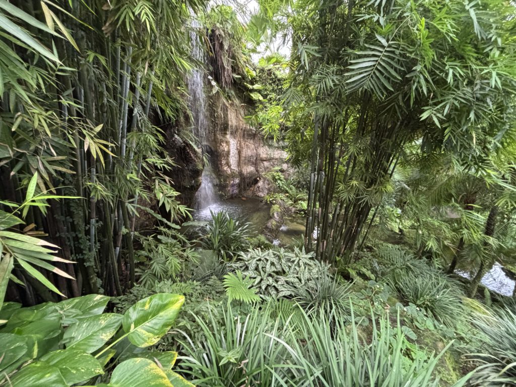 Wasserfall in Gondwanaland