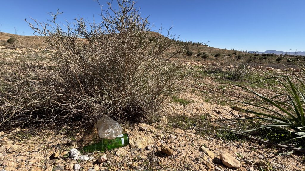 Habitat von Chalcides ocellatus