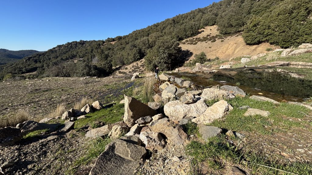 Habitat von Podarcis vaucheri