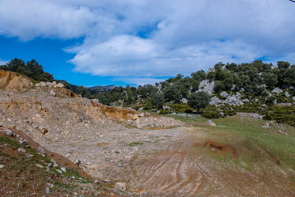 Habitat Scelarcis perspillicata