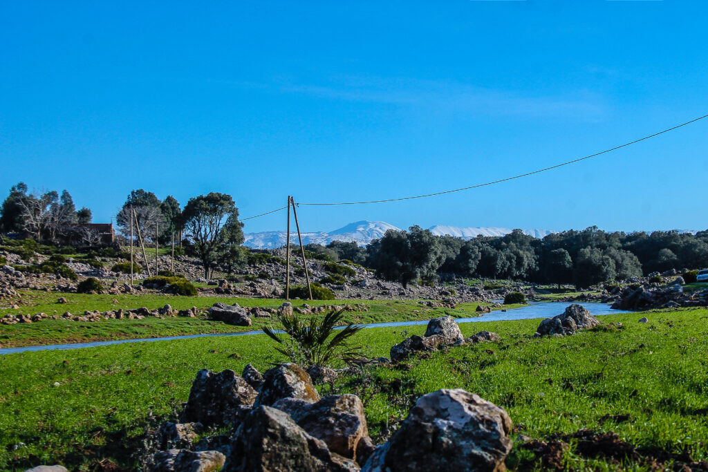 Flussbett im Nationalpark