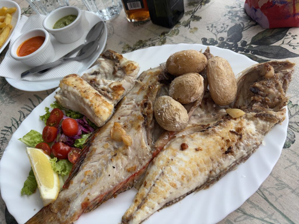 Papageienfisch und Zackenbarsch in Orzola Lanzarote
