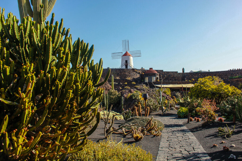 jardin de cactus lanzarote 