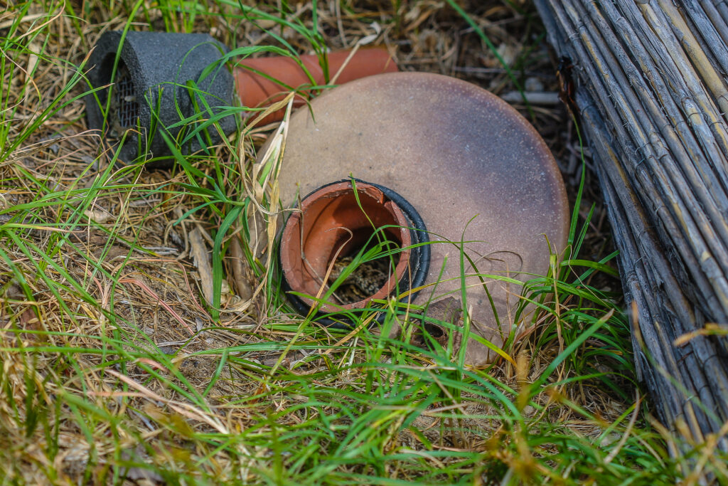 Hibernaculum ungarische Wiesenotter
