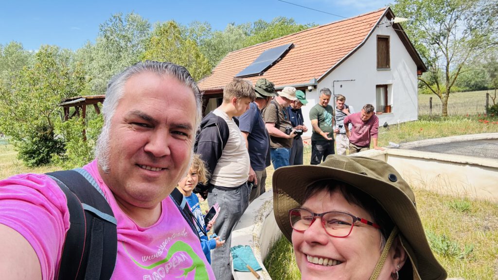 echsperten bei der ungarischen Wiesenotter