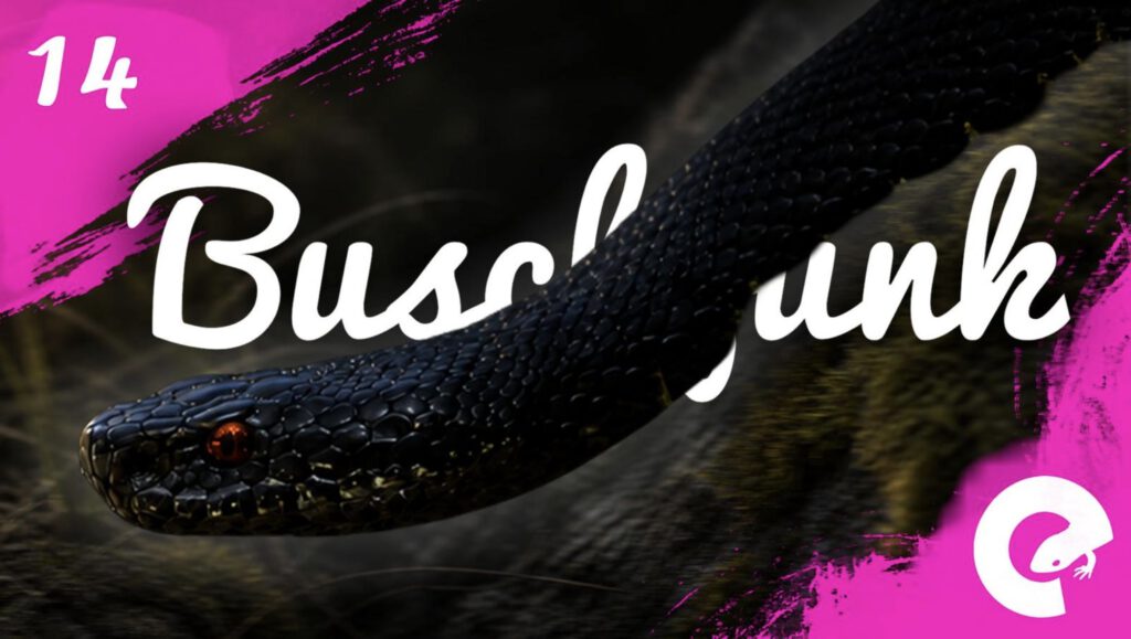 Buschfunk